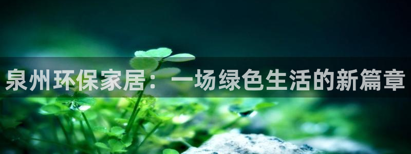 杏宇注册登录：泉州环保家居：一场绿色生活的新篇章