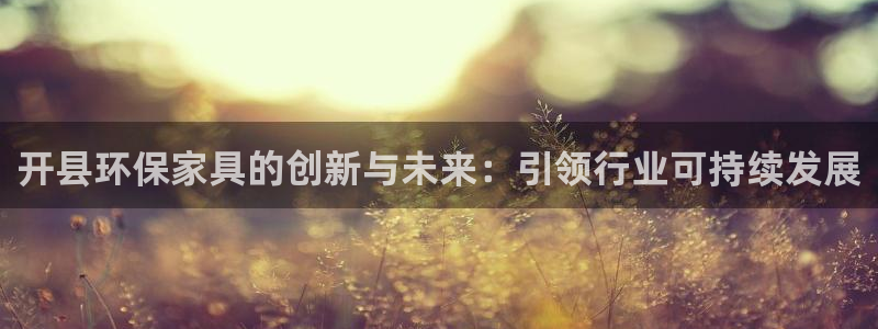 杏宇app怎样申请退款：开县环保家具的创新与未来：引领行业可