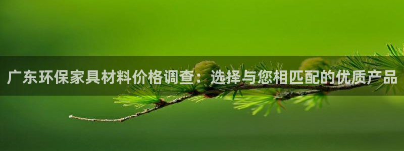 杏宇注册代理：广东环保家具材料价格调查：选择与您相匹配的优质