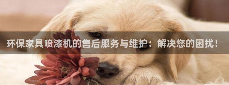 杏宇注册主管：环保家具喷漆机的售后服务与维护：解决您的困扰！
