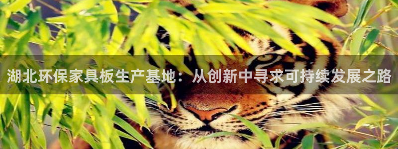 杏宇平台待遇：湖北环保家具板生产基地：从创新中寻求可持续发展