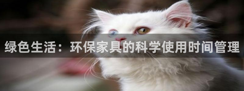 杏宇登陆网站：绿色生活：环保家具的科学使用时间管理