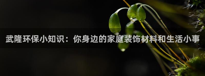 杏宇客户端登陆