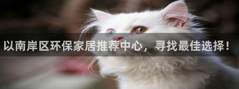 杏宇平台代理怎么赚钱快：以南岸区环保家居推荐中心，寻找最佳选