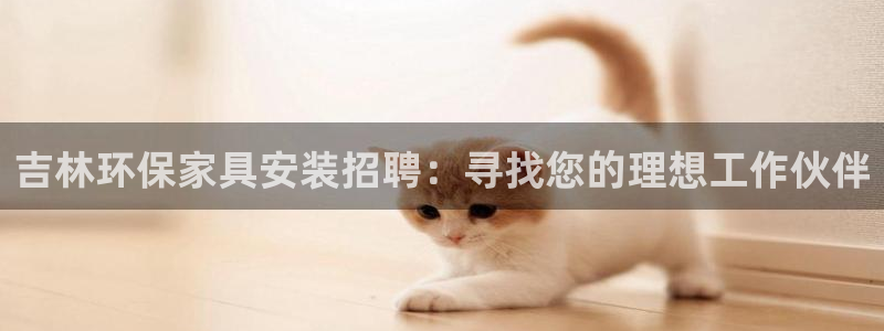杏宇平台待遇：吉林环保家具安装招聘：寻找您的理想工作伙伴
