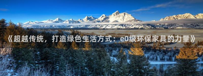 杏宇官网娱乐：《超越传统，打造绿色生活方式：e0级环保家具的