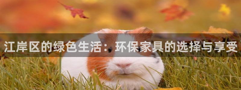 杏宇平台客户端：江岸区的绿色生活：环保家具的选择与享受