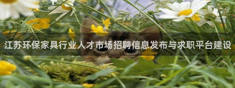 杏宇测速网址电脑版：江苏环保家具行业人才市场招聘信息发布与求