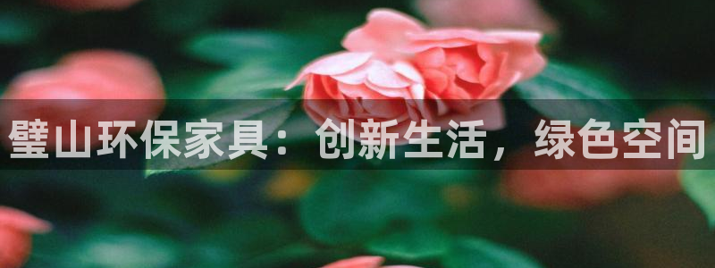 杏宇平台下载：璧山环保家具：创新生活，绿色空间