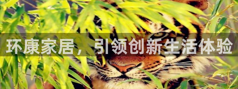 杏宇注册代理：环康家居，引领创新生活体验