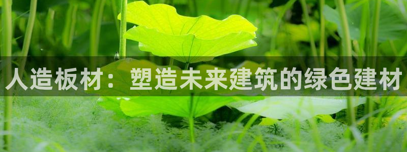 杏宇官网app：人造板材：塑造未来建筑的绿色建材